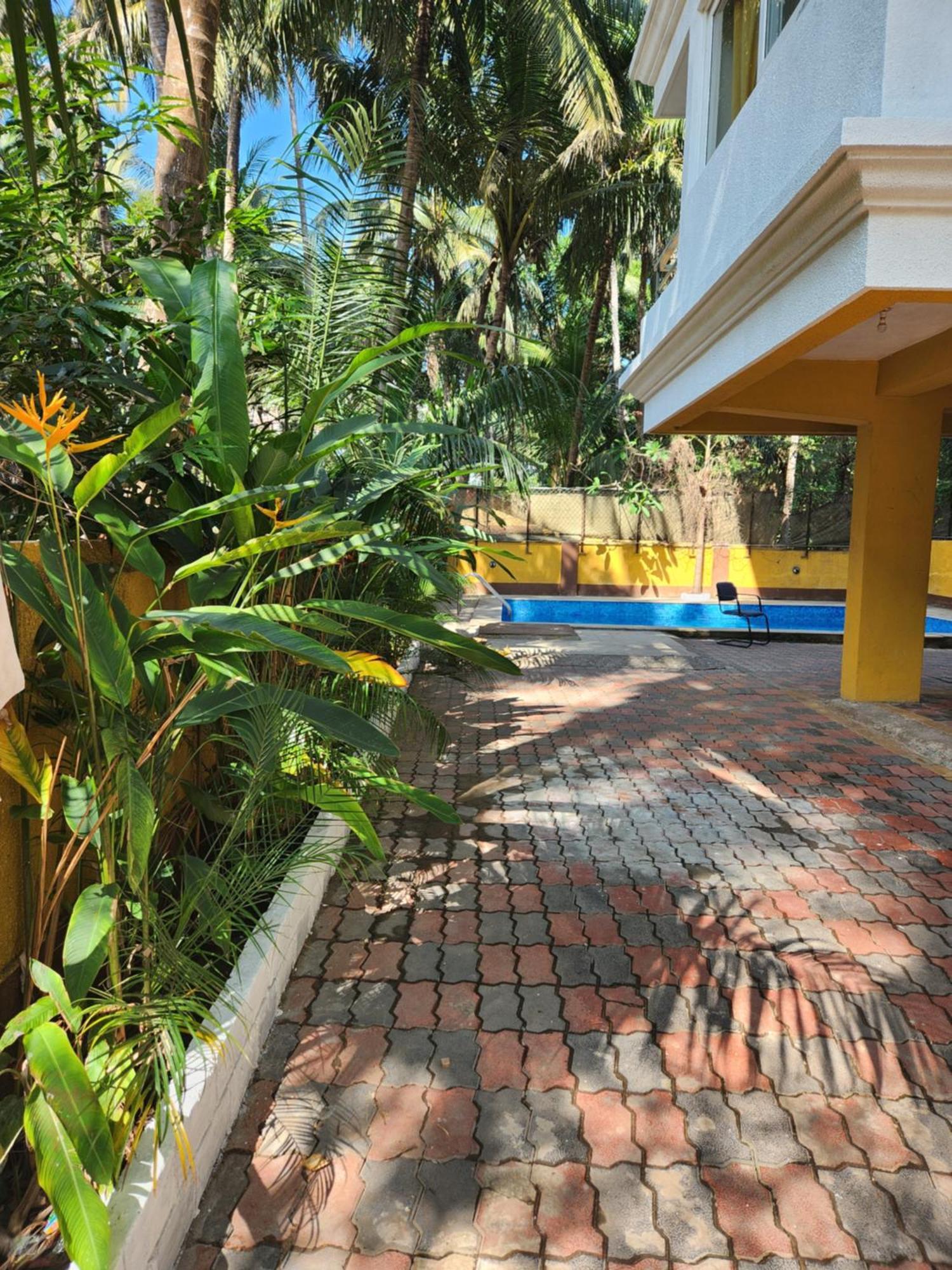 Luxury 2Bhk Apartment Near Calangute Baga Beach With Pool المظهر الخارجي الصورة